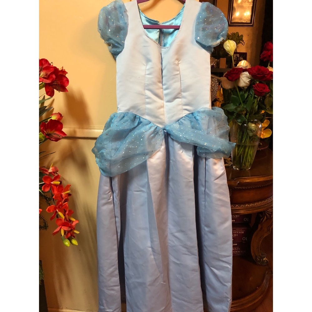Custom made Cinderella costume 🎀